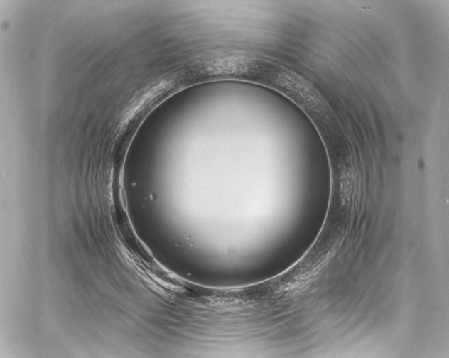 X0000060750490200511101119