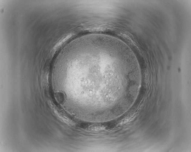 X0000060750491200511101119