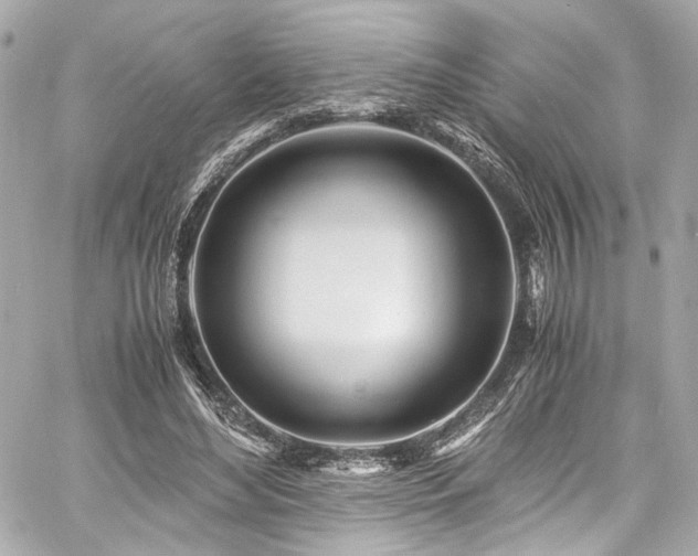 X0000060750492200511101119