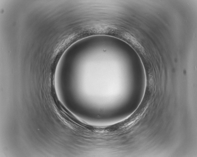 X0000060750493200511101119