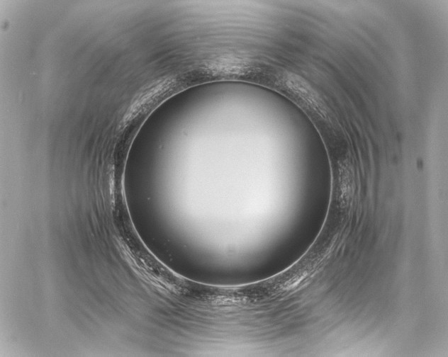 X0000060750494200511101119