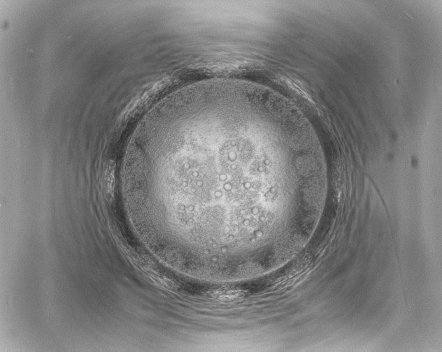 X0000060750495200511101119