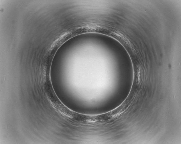 X0000060750496200511101119