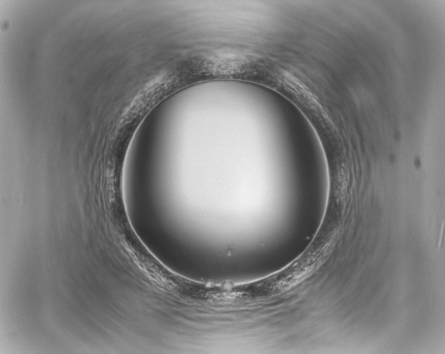 X0000060750497200511101119