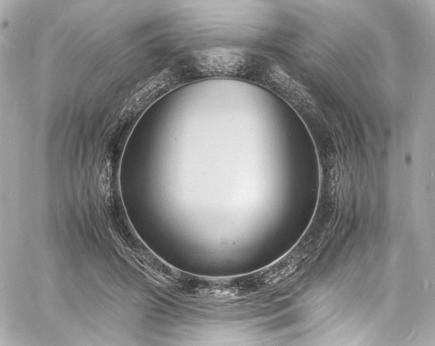 X0000060750498200511101119