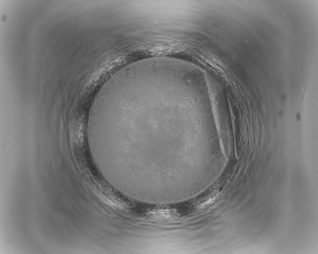 X0000060750499200511101119