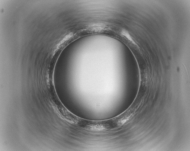 X0000060750500200511101119