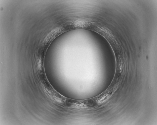 X0000060750502200511101119