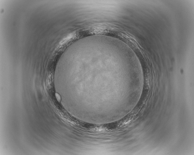 X0000060750503200511101119