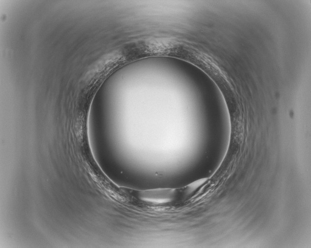 X0000060750505200511101119