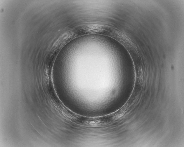 X0000060750506200511101119