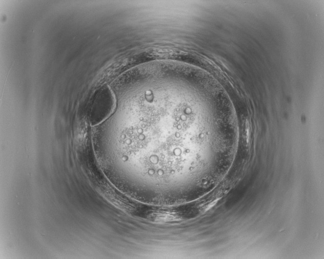 X0000060750507200511101119