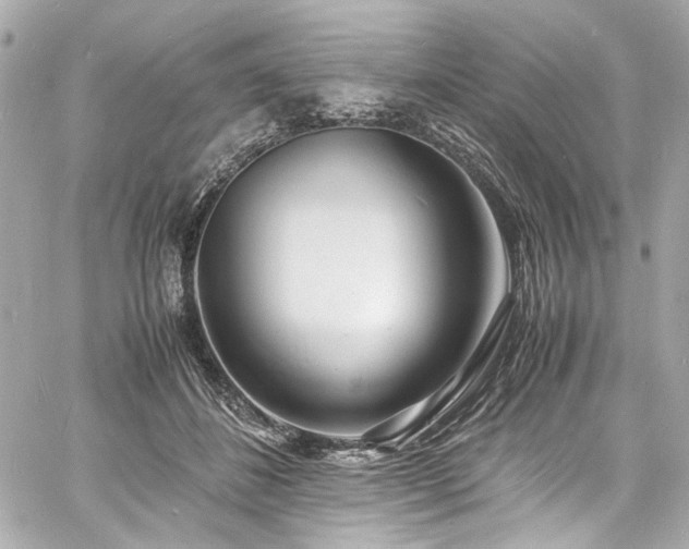 X0000060750508200511101119