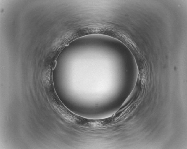 X0000060750509200511101119