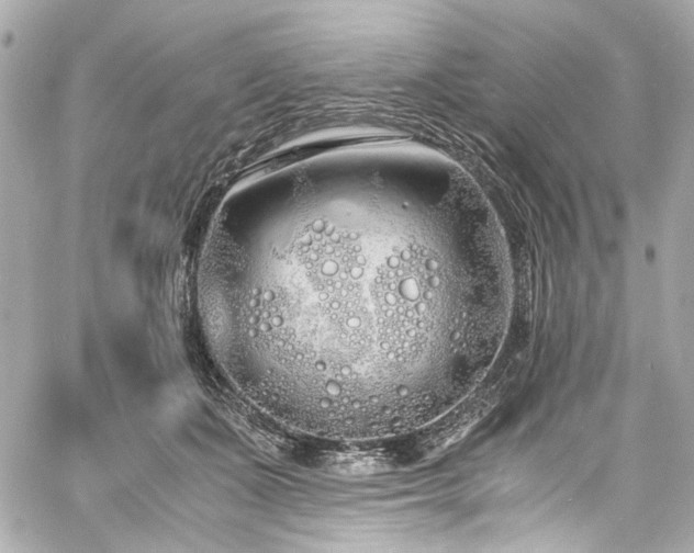 X0000060750511200511101119