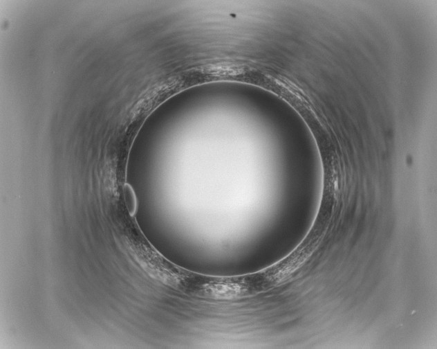 X0000060750512200511101119