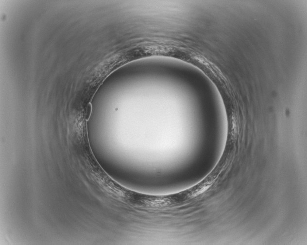 X0000060750513200511101119