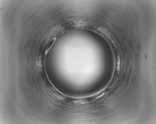 X0000060750516200511101119