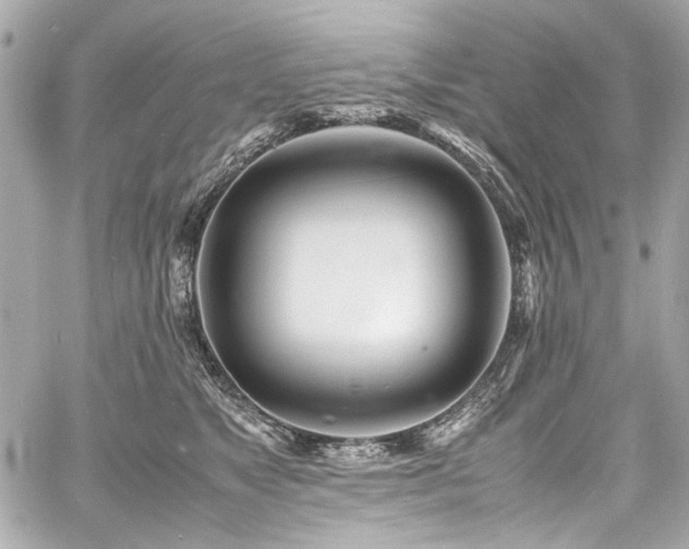 X0000060750517200511101119