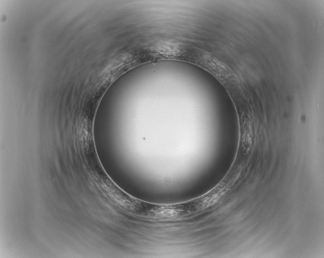 X0000060750518200511101119