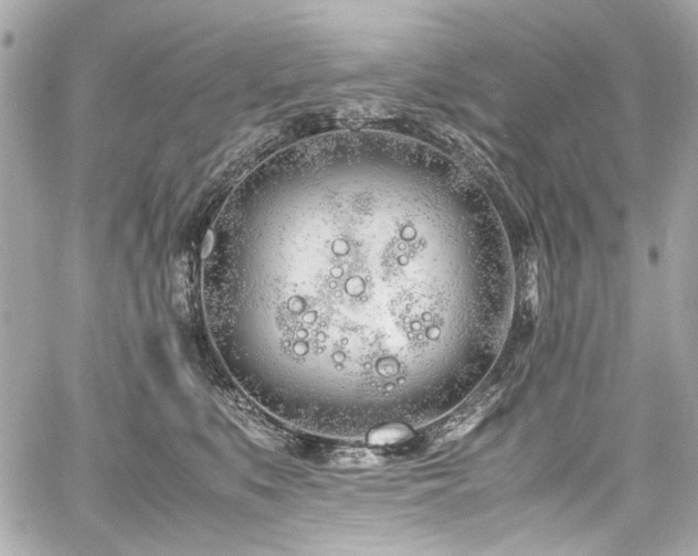 X0000060750519200511101119