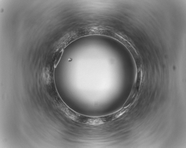 X0000060750520200511101119