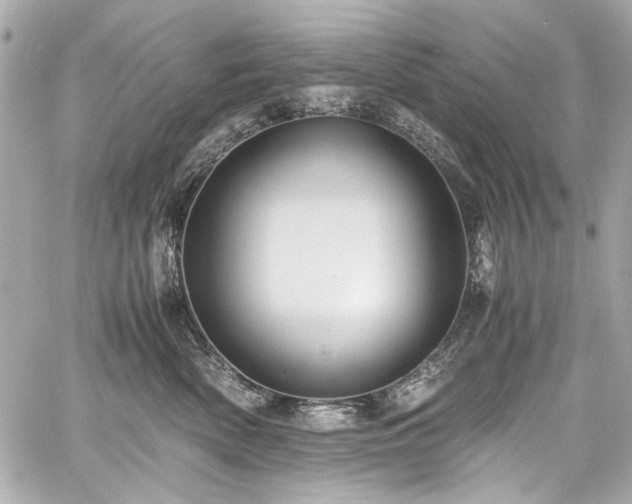 X0000060750522200511101119