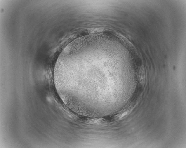 X0000060750523200511101119