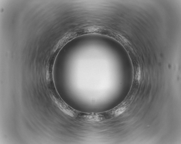 X0000060750524200511101119