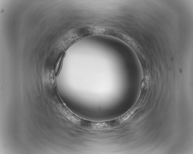 X0000060750525200511101119