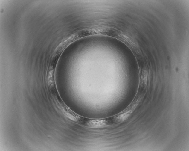 X0000060750526200511101119