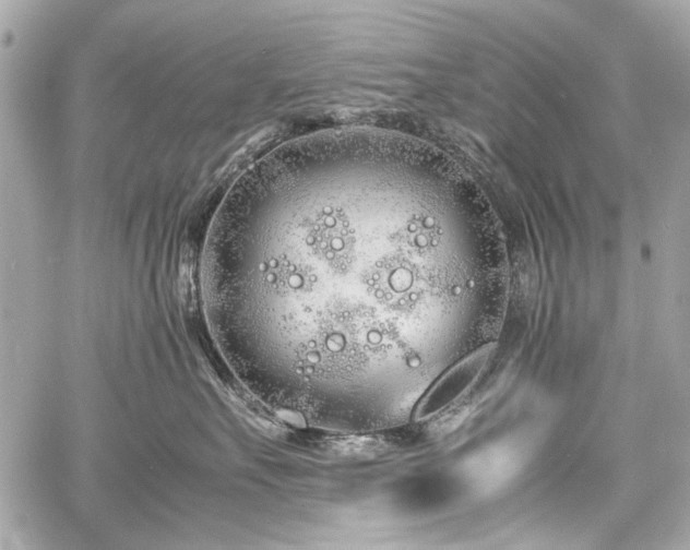 X0000060750527200511101119