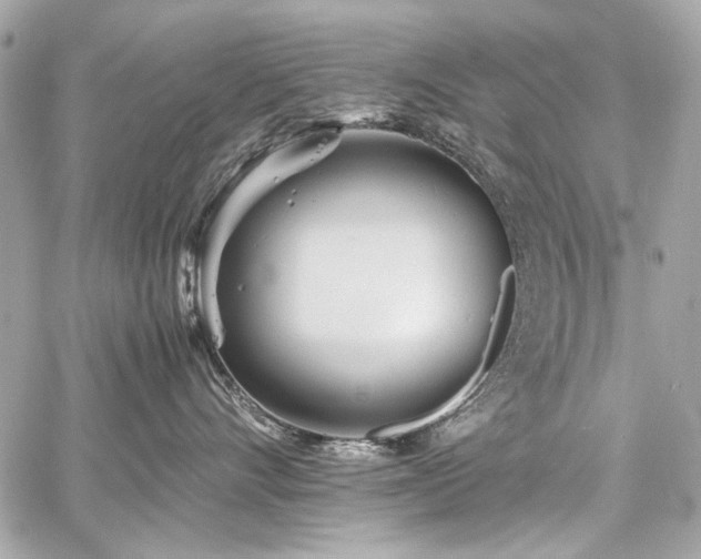 X0000060750528200511101119