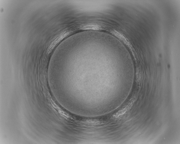 X0000060750529200511101118