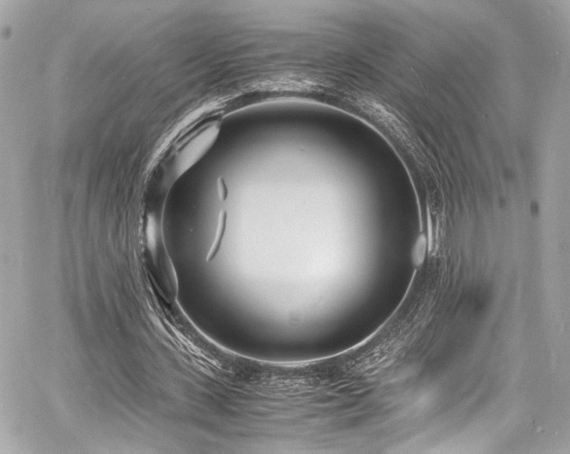 X0000060750531200511101118