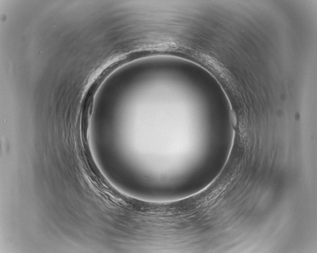 X0000060750532200511101118