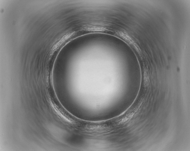 X0000060750533200511101118