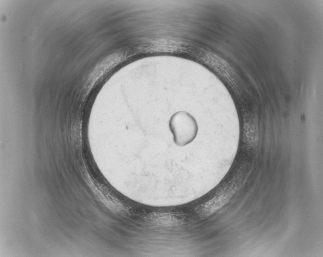 X0000060750534200511101118