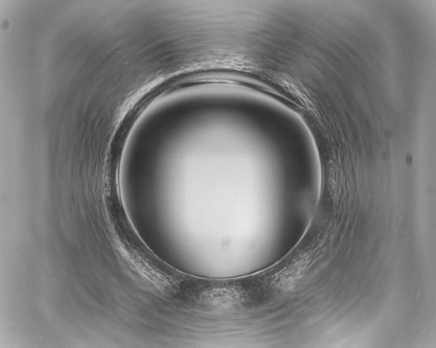 X0000060750536200511101118