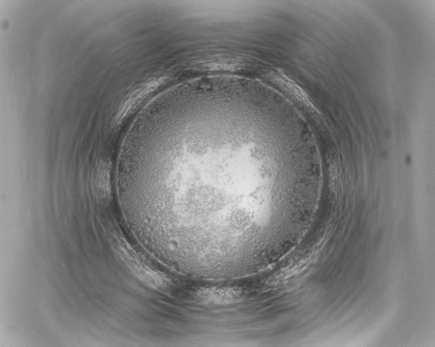 X0000060750537200511101118