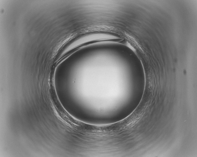 X0000060750538200511101118