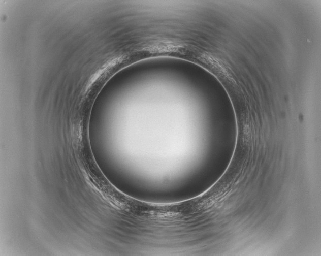 X0000060750539200511101118