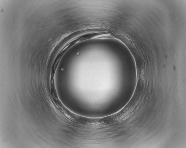 X0000060750540200511101118