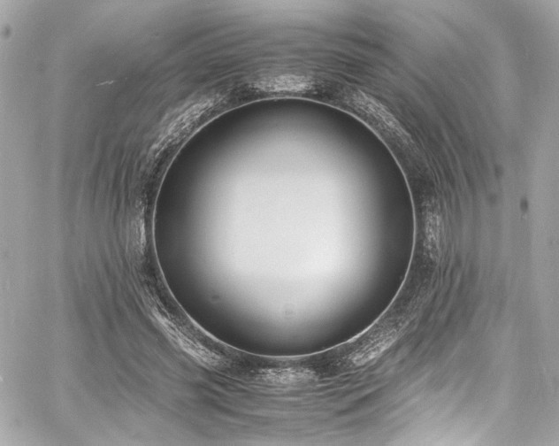 X0000060750541200511101118