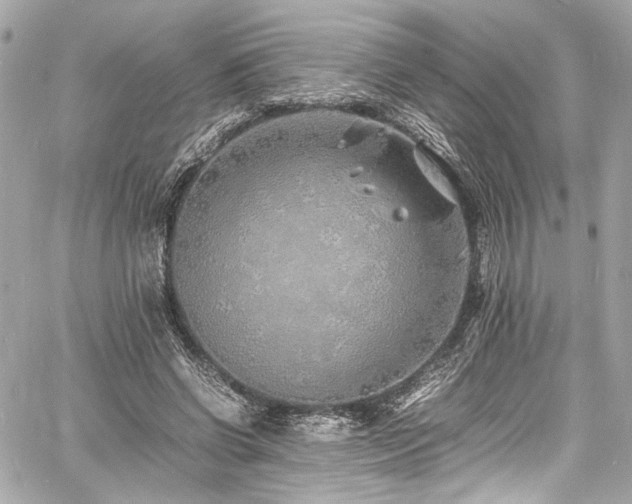 X0000060750542200511101118