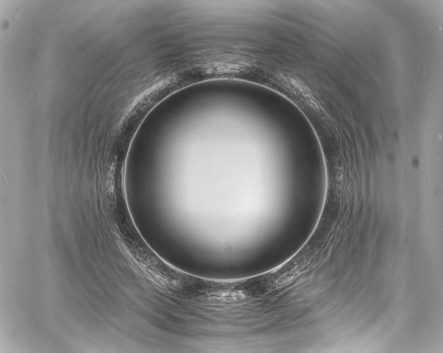 X0000060750543200511101118