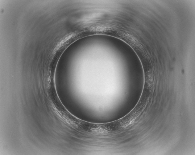 X0000060750544200511101118