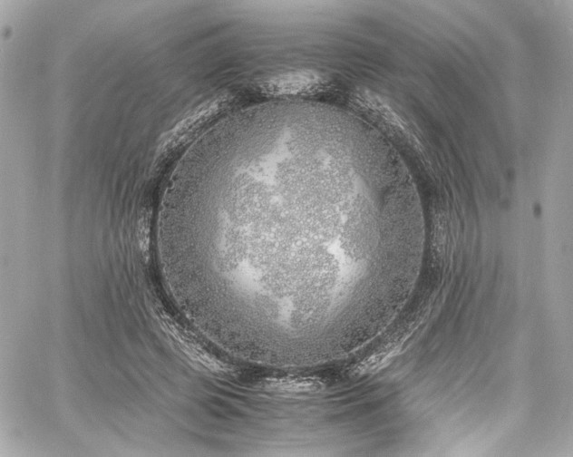 X0000060750545200511101118