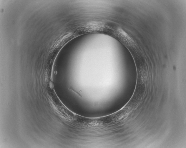 X0000060750546200511101118