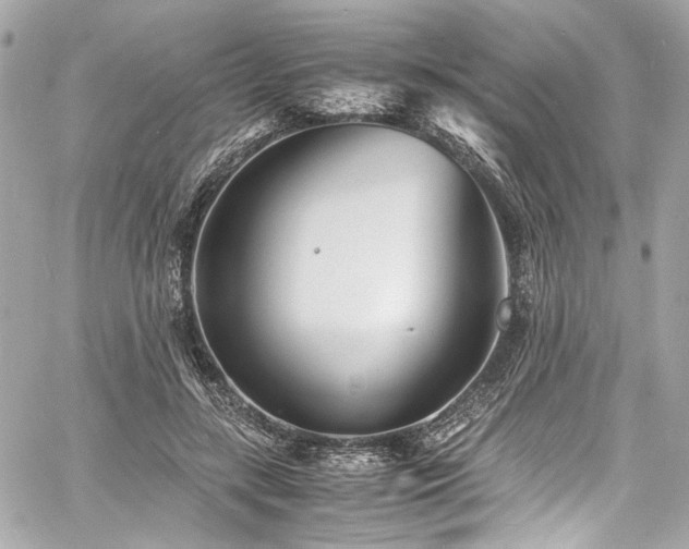 X0000060750547200511101118